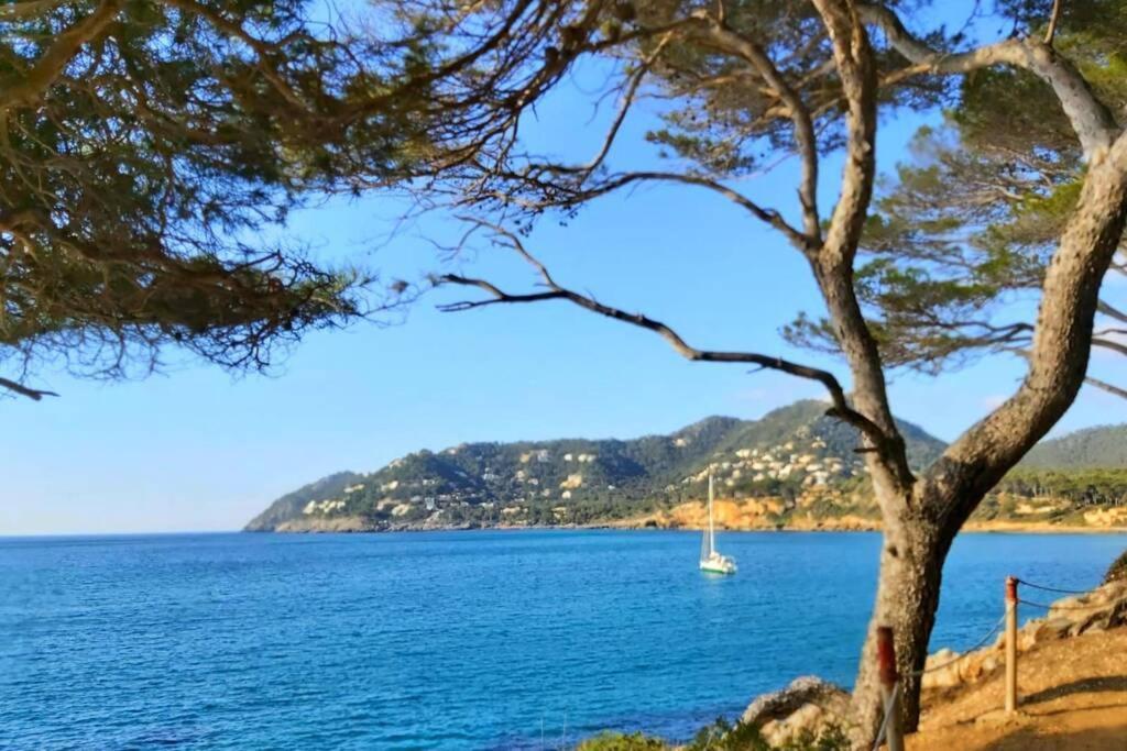 Beach Apartment Cala Torta Pool & Terrace Canamel 카프데페라 외부 사진